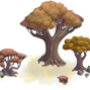 arbre_foret2_1.png