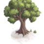 arbre_foret_1.png