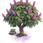 arbre_plaine_1.png