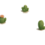 desert_vege1.png