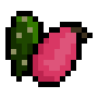 item_pomme-cactus.png